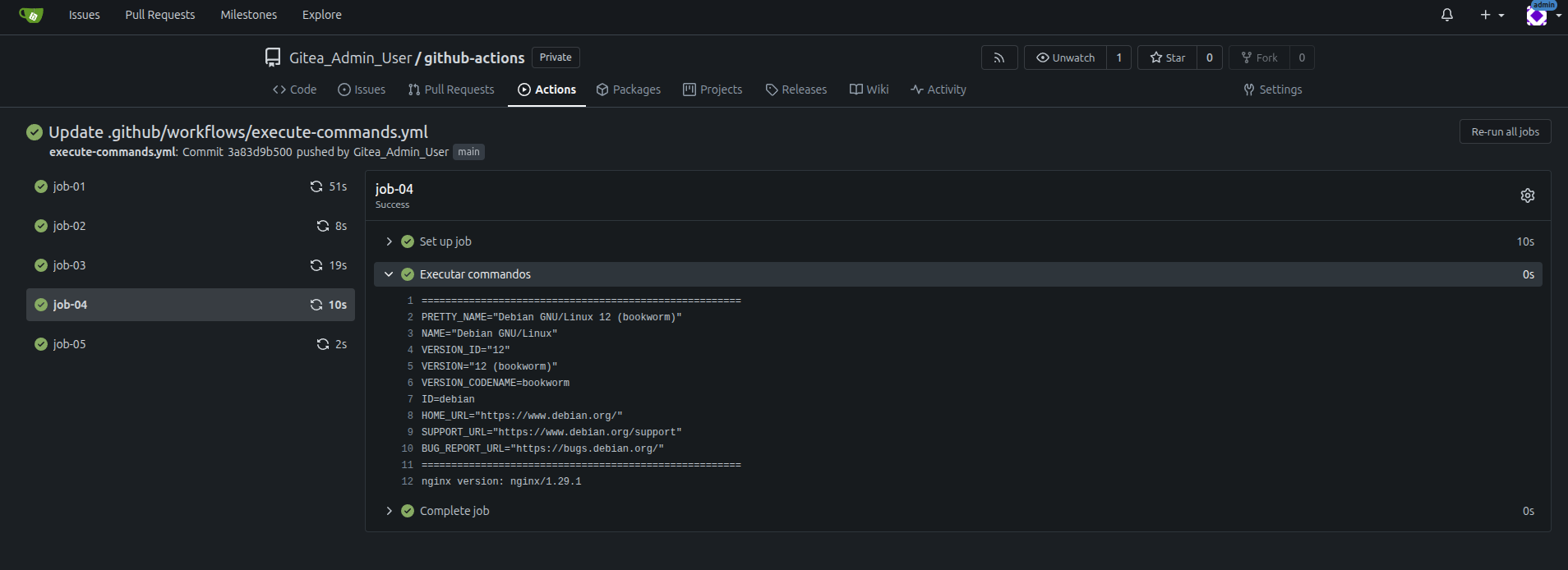 gitea-run-workflow-execute-commands-job-04.png