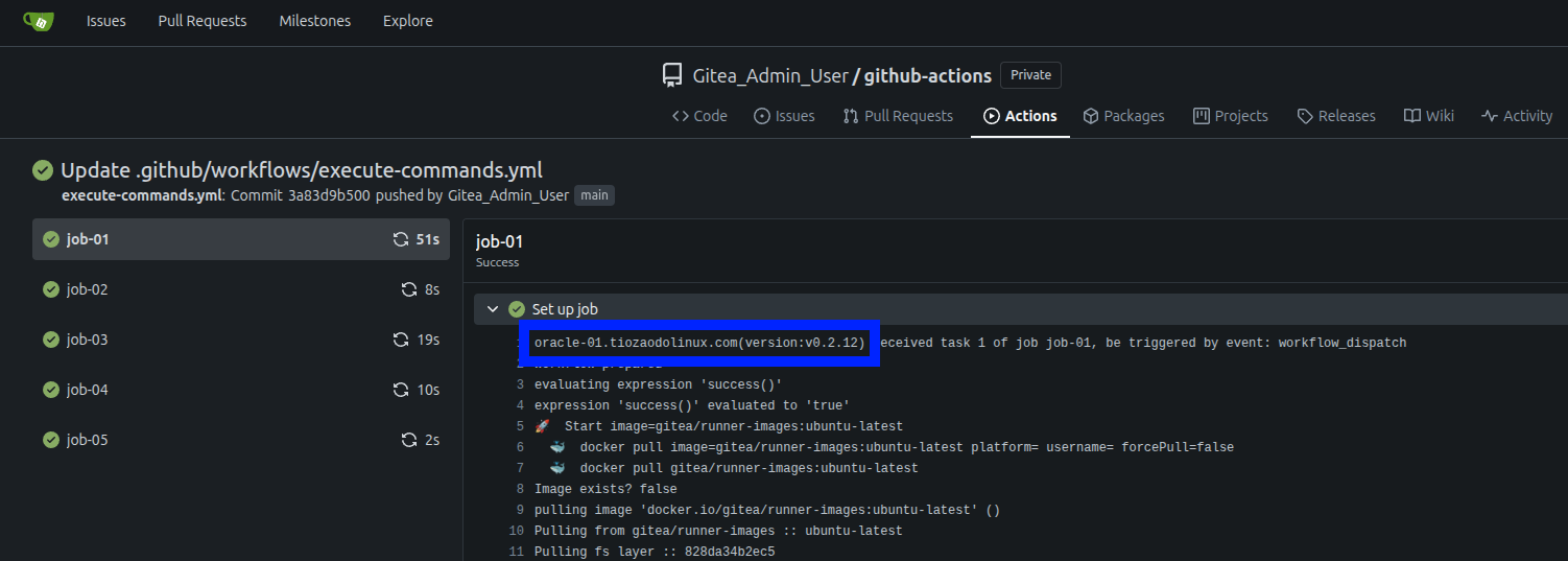 gitea-run-workflow-execute-commands-set-up-job.png