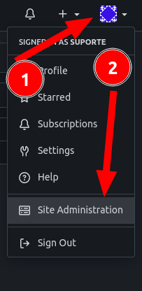 gitea-site-administration.png