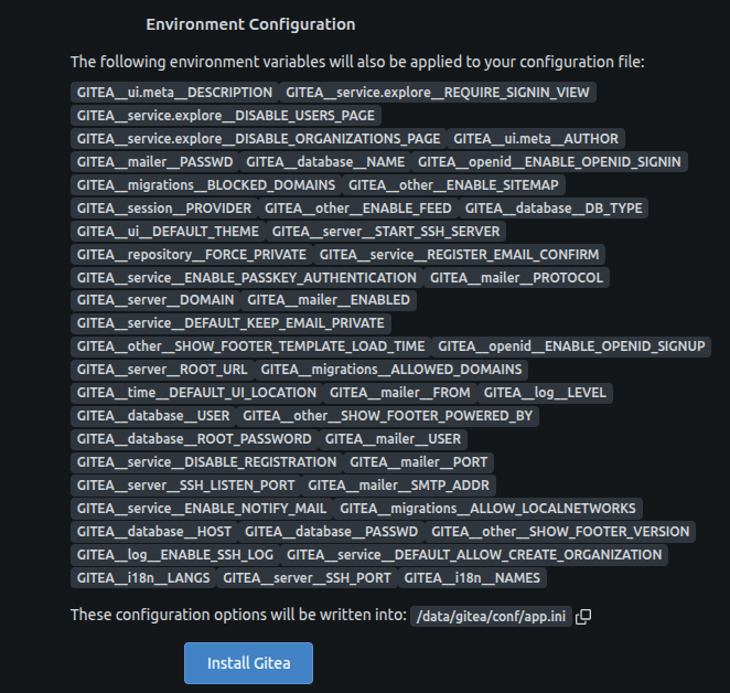 gitea_environment_initial.png