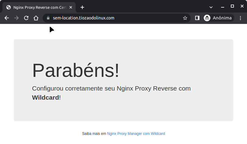 nginx-proxy-reverse-with-certificates-wildcard.png