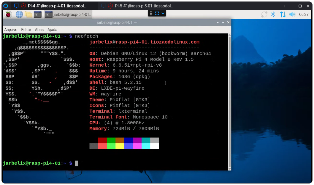 rustdesk-pi4.png